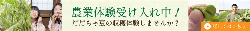 農業体験
