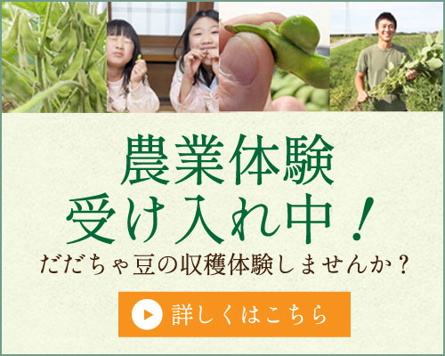 農業体験
